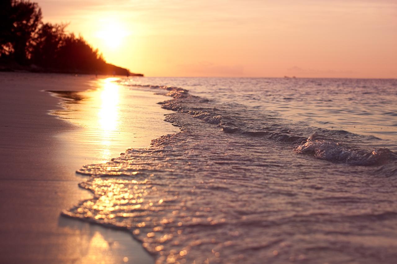 Hollywood Beach Suites Turks And Caicos Whitby Exteriör bild