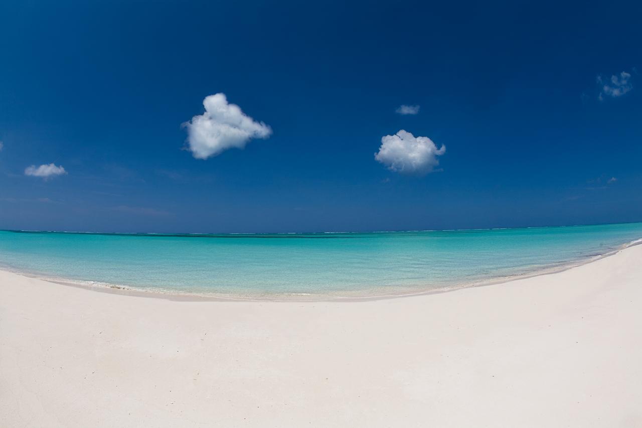 Hollywood Beach Suites Turks And Caicos Whitby Exteriör bild